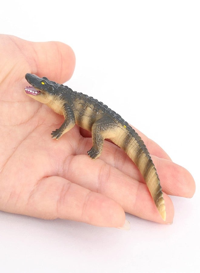 Hvogvok Crocodile Growth Cycle, Animal Growth Cycle Biological Model Toy Growth Stage Lifelike Crocodile Life Cycle Model Set for Kids Education Insect Themed Party Favors - Image 4
